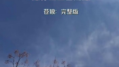 豆豆果 - 《愿你红尘皆如愿》饭制 苍狼