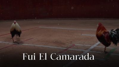 Calibre 50、Banda Carnaval - Fui El Camarada