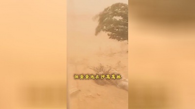李德红 - “三月的天来起黄风” 妹子出门你要小心。 #三月的天来起黄风