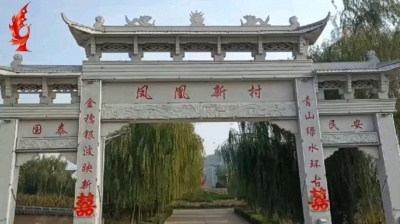 凤凰小子 - 凤凰新村