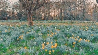 Secret Garden - Serenade To Spring