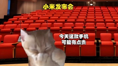 白系出品 - 假如小米跟华为同时发布手机 \&quot;雷军\&quot;华为\&quot;手机发布会\&quot;