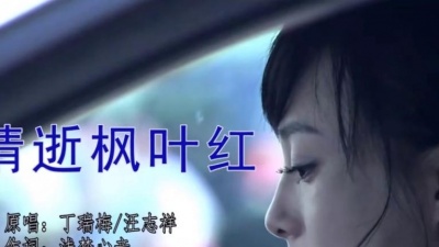 丁瑞梅、汪志祥 - 情逝枫叶红