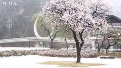 The Film、박성효 - 새 학기 (New Semester)
