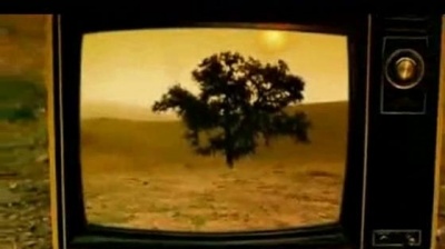 Akon - Pot Of Gold