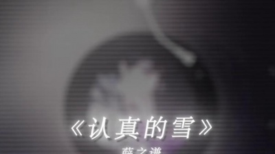 Shake9_ - 认真的雪