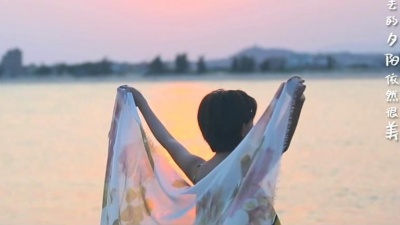 王弦 - 回味