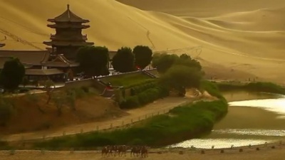 宋弘莉 - 绿色阳光