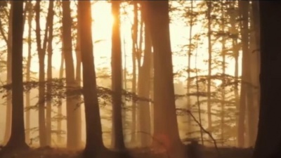 Armin van Buuren、Adam Young - Youtopia 中英字幕 (Sherlof**k字幕组)
