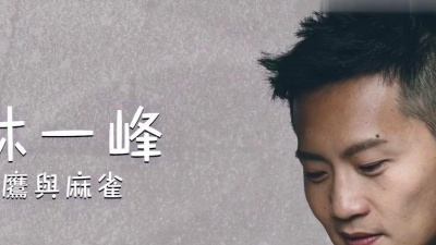 林一峰 - 麻鹰与麻雀