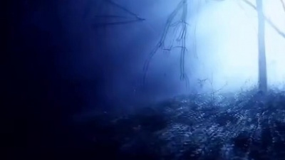 Disturbed - The Animals 中英字幕（blomstar制）