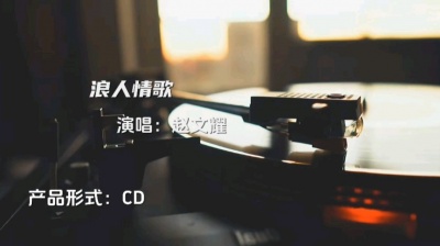 赵文耀 - 浪人情歌