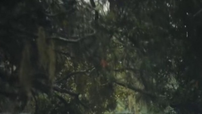 Eric Nam - Wildfire