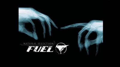 Fuel - Quarter