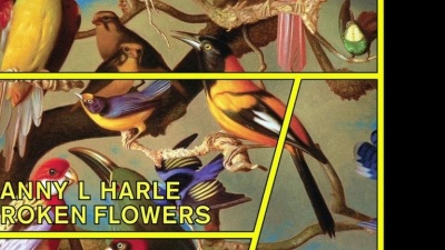 Danny L Harle - Broken Flowers (Audio) (Audio)