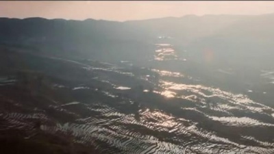 田宝 - 随着老百姓的愿望走