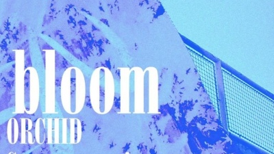 Off Bloom - Orchid (AlunaGeorge Remix)