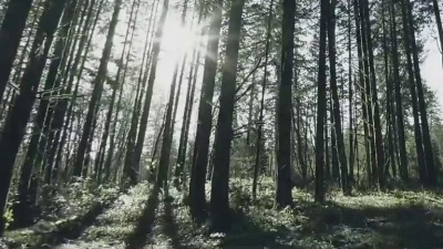 Fréro Delavega - Le Chant Des Sirenes