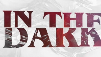 MOONSHINE、Vinai、Lucas Estrada、Polarwulf - In The Dark