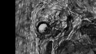 Dir en grey - 轮郭