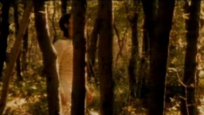 Elisa - Luce(Tramonti a Nord Est)