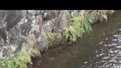 睡眠音楽おすすめTIMES - Flowing River Piano for Work and Relaxation