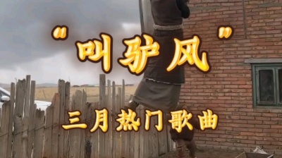 李德红 - “三月的天来起黄风”走哪都是“叫驴风”  #三月的天来起黄风