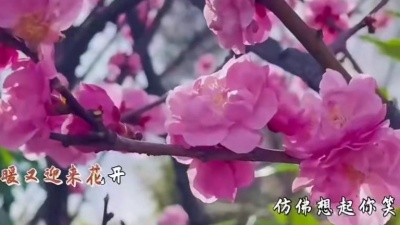 刘钦杰 - 心里想的全是你
