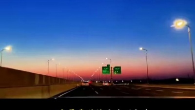 豆豆果 - 《我的玫瑰不太香》 (DJ九零版)王娜