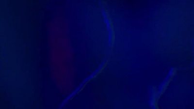 R3HAB、SAKIMA - Back to You