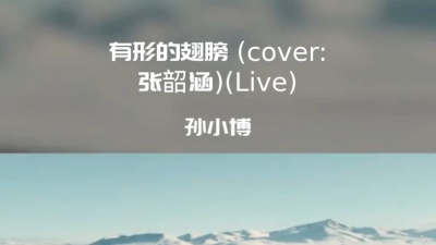 孙小博 - 孙小博-有形的翅膀