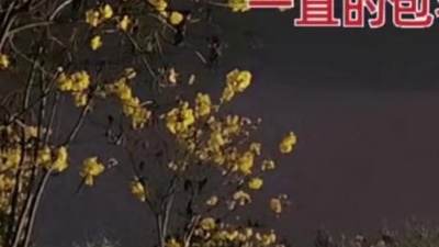 豆豆果 - 《手心有你》饭制 马健涛、石大侠