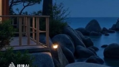 知名英俊青年 - 此去半生（大明不妙曲） - 周林枫