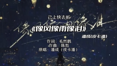 豆豆果 - 《像风像雨像泪》潘成（皮卡潘）