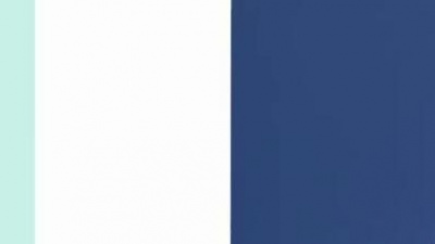岡崎体育 - Quick Report