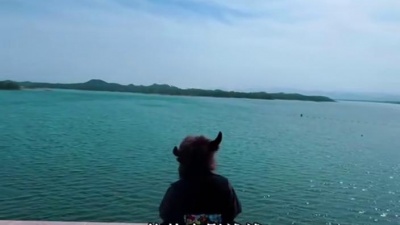 豆豆果 - 《月亮照山川》黄文文