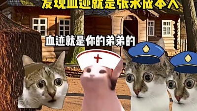 白系出品 - 托梦两次只会抓住凶手！\&quot;猫meme小剧场\&quot;