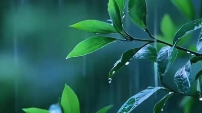 陆宛清、郑风 - 雨中的邂逅