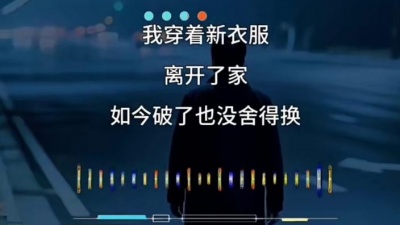 豆豆果 - 《漂泊的人谁不想家》饭制 王剑锋
