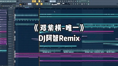 白系出品 - DJ阿智-邓紫棋的唯一\&quot;那些我想说的没说的话\&quot;