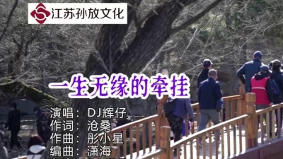 DJ辉仔 - 一生无缘的牵挂