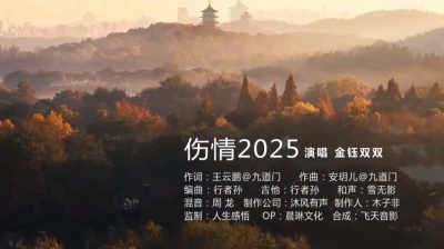 解为诊（谢三） - KTv伴奏《伤情2025》金钰双双