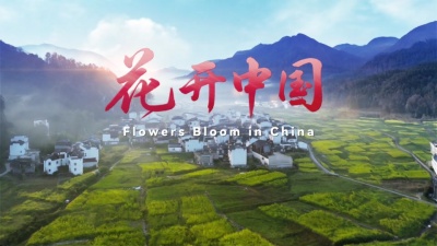 谭维维、吴碧霞、希林娜依高、王丽达、黄霄雲 - 花开中国
