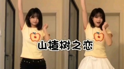 小小慧 - 山楂树枝恋DJ