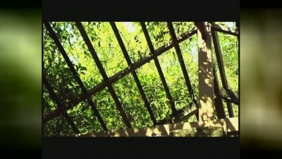 Mai Charoenpura - GAW KOEY SUN YAH