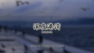豆豆果 - 《深夜港湾》DJ铁柱Remix