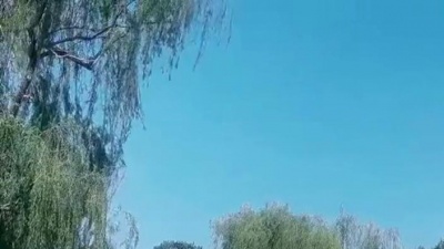 豆豆果 - 《仙》江皓南