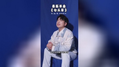 豆豆果 - 《心头草》海来阿木