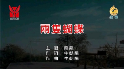 伟 - 庞龙《两只蝴蝶》 庞龙：《两只蝴蝶》