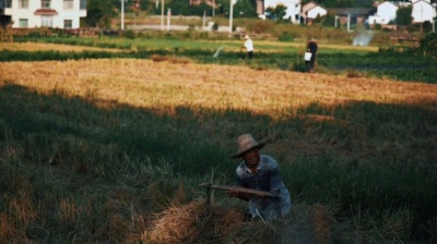 Lu晓杰 - 马健涛 - 《故乡的歌谣》